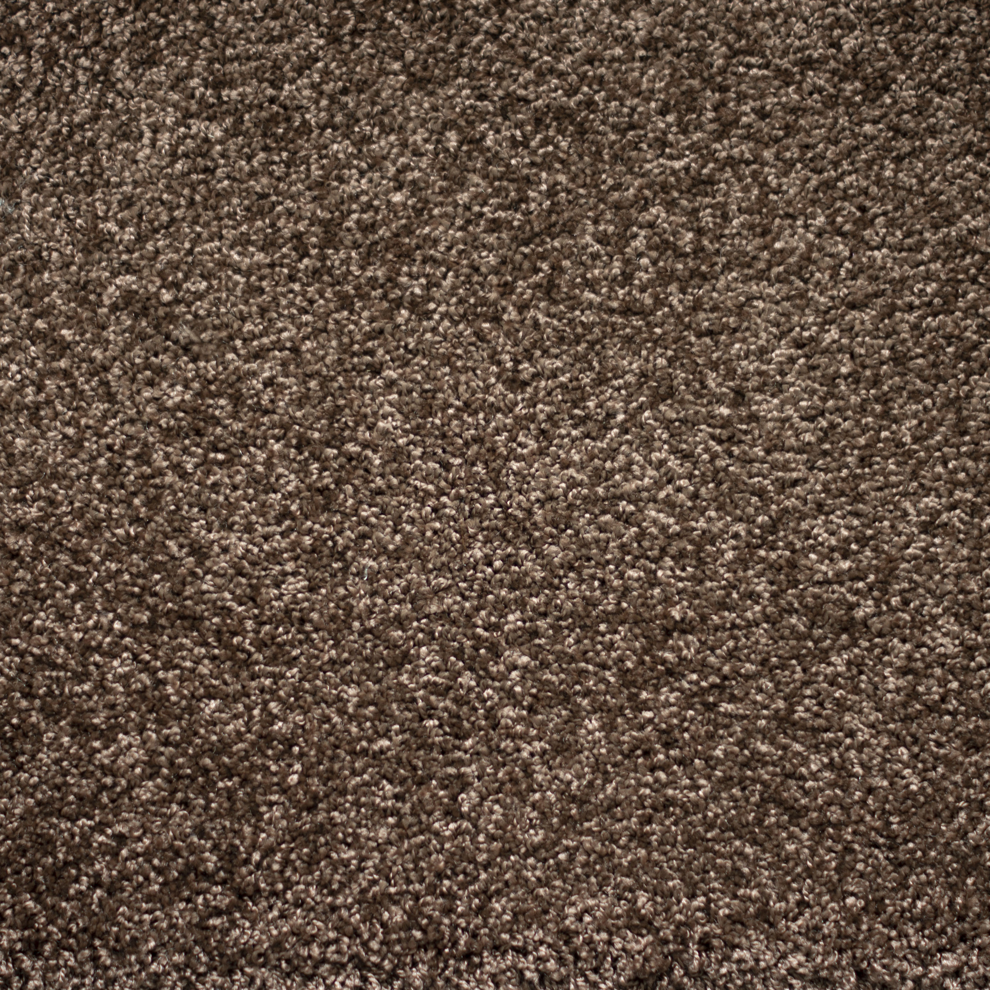 Ковролин "Зартекс" Tesoro 156 коричневый (4м) — купить в Евпатории