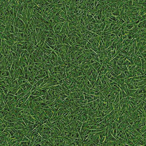 Линолеум бытовой "IVC" Neo Grass 25 (3м) — купить в Евпатории