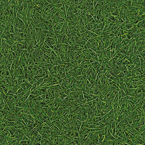 Линолеум бытовой "IVC" Bingo Grass 25 (3м) — купить в Евпатории