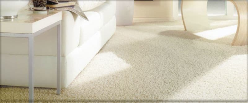 Ковролин "Зартекс" Прованс 19 (3м) — купить в Евпатории