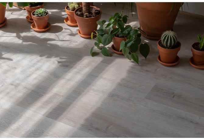 SPC ламинат Дуб Ален (1220*181*3,7 мм) — купить в Евпатории