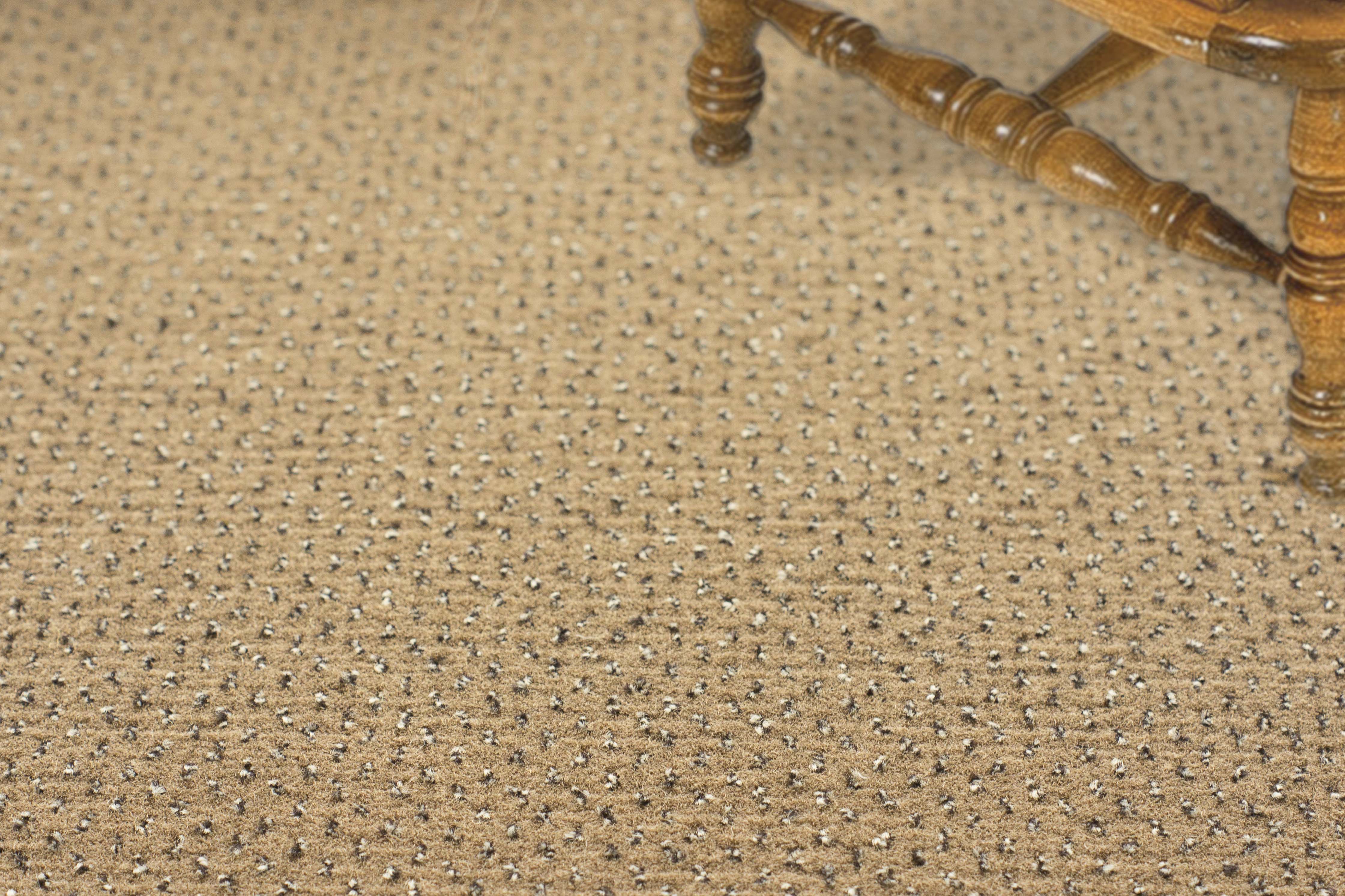 Ковролин "Зартекс" Eternity 142 бежевый (4м) — купить в Евпатории